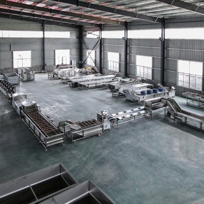 Máquina de limpieza automática de frutas / lavadora de hortalizas industrial comercial de 500 kg