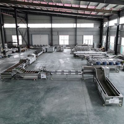 Servicio postventa Apoyo en línea Máquina automática industrial de lavado y secado de frutas