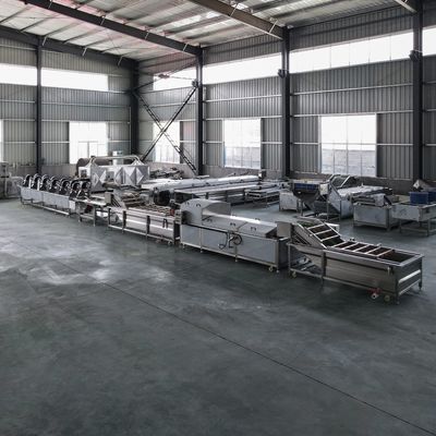 Máquina de lavado y blanqueo de frutas y hortalizas industriales para limpieza de 500 kg