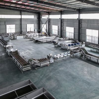 Máquina de pelar multifunción para lavar y cepillar frutas y hortalizas