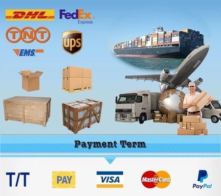 Gran máquina de fumar automática de salchichas de carne personalizada con 2.2 motores de potencia