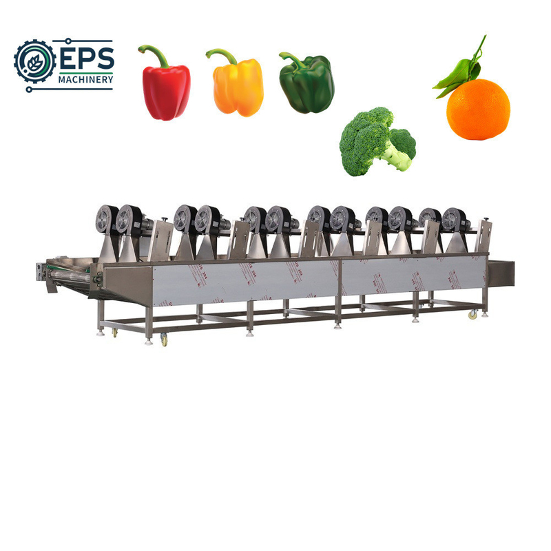 Máquina automática de procesamiento de frutas y hortalizas para la producción de 1500 kg/h