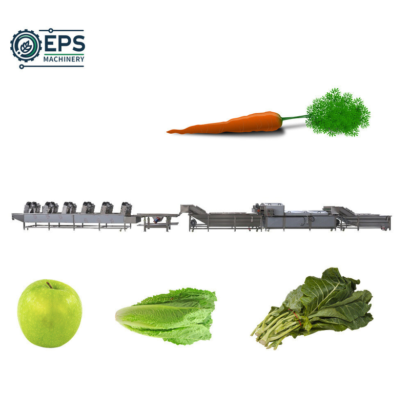 Personaliza la línea de limpieza y secado de frutas y verduras totalmente automática de voltaje 110V-380V